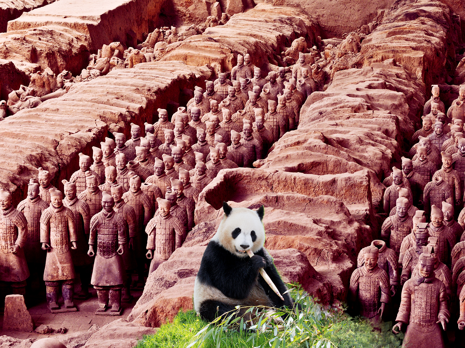 China Maravilhosa Scan-Suisse Stack Img 3