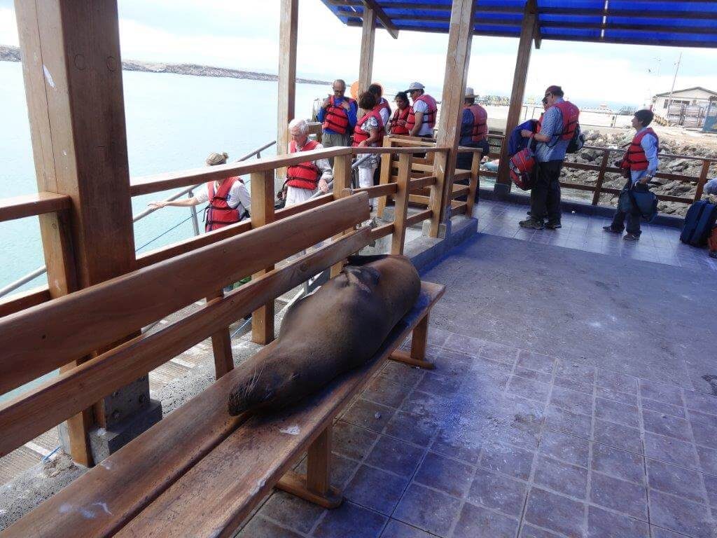 Viagem Especial Galápagos com Equador 2014