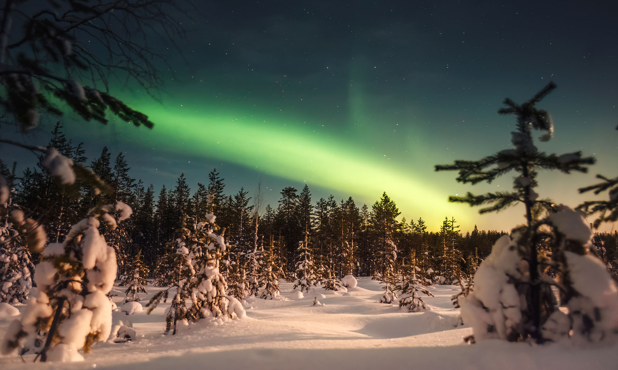 Inverno e Aurora Boreal