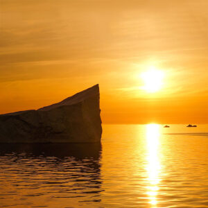 Verão, Sol e Icebergs