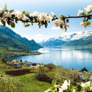 Hardangerfjord - Bergen-Bergen