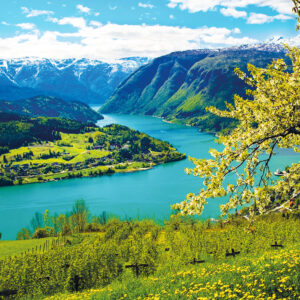 Descubra os Fjords Hot Deal